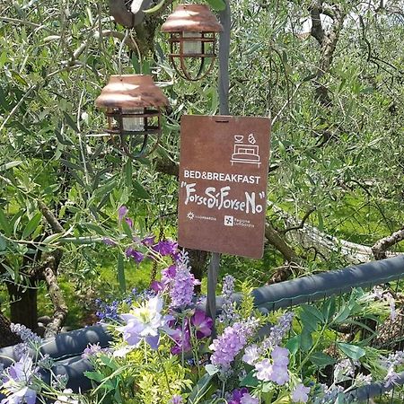 B&B Forsesiforseno Sulzano Ngoại thất bức ảnh